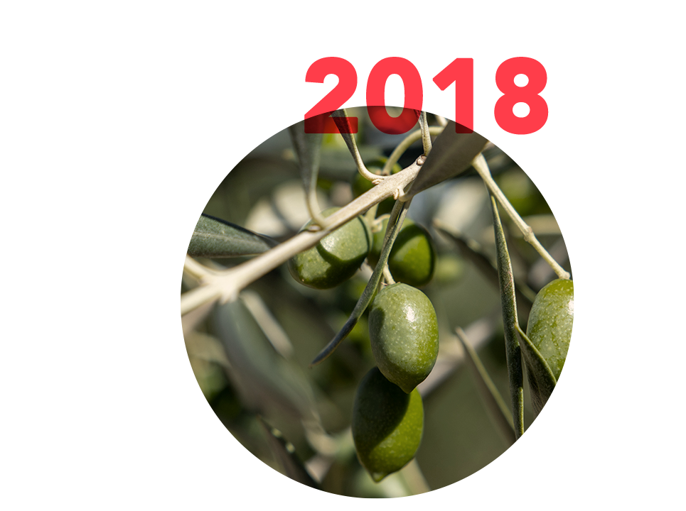 Hito 2018